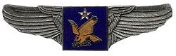 U.S. Air Force 2nd Air Corps Wings (2 7/8")