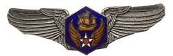 U.S. Air Force 6th Air Corps Wings (2 7/8")